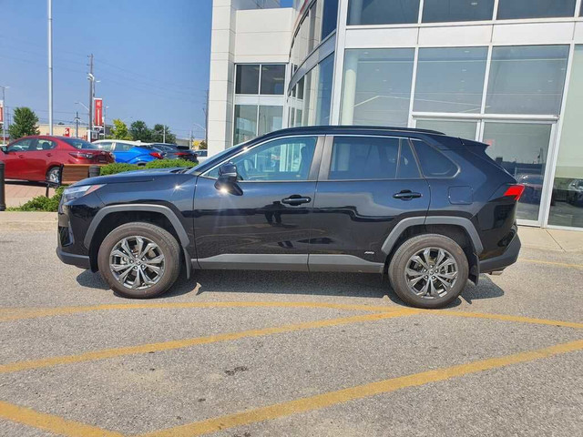 2025 Toyota RAV4 Hybrid XLE AWD | Sunroof | Alloys in Cars & Trucks in City of Toronto - Image 4