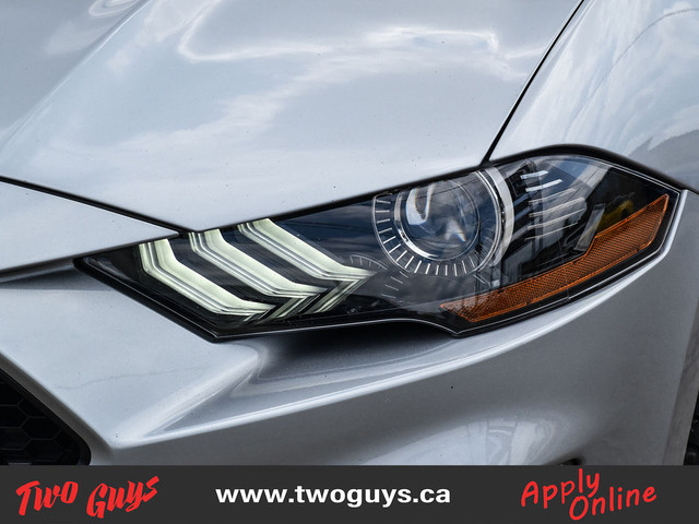 2021 Ford Mustang GT Premium Fastback w/GT Performance Pkg Nav L in Cars & Trucks in St. Catharines - Image 4