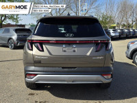 Price includes all Fees and Add-ons. What you see is what you pay! - Excludes GST The 2025 Hyundai T... (image 4)
