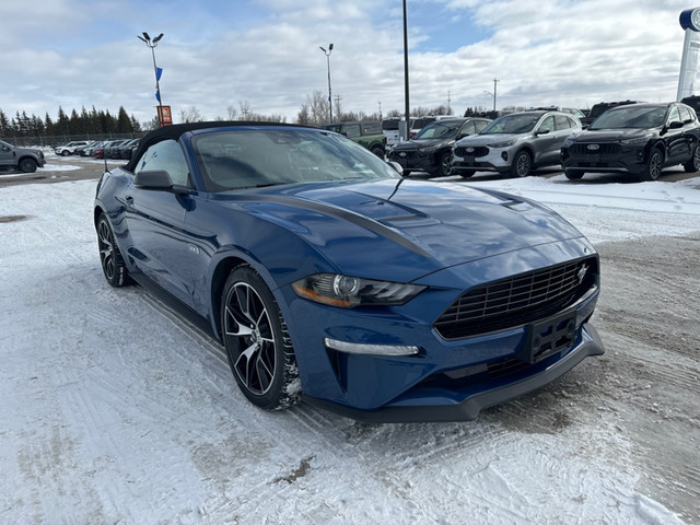 2022 Ford Mustang EcoBoost - Low Mileage in Cars & Trucks in Winnipeg - Image 4