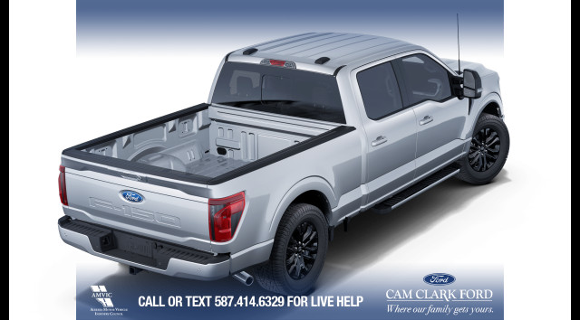 2025 Ford F-150 XLT in Cars & Trucks in Calgary - Image 4