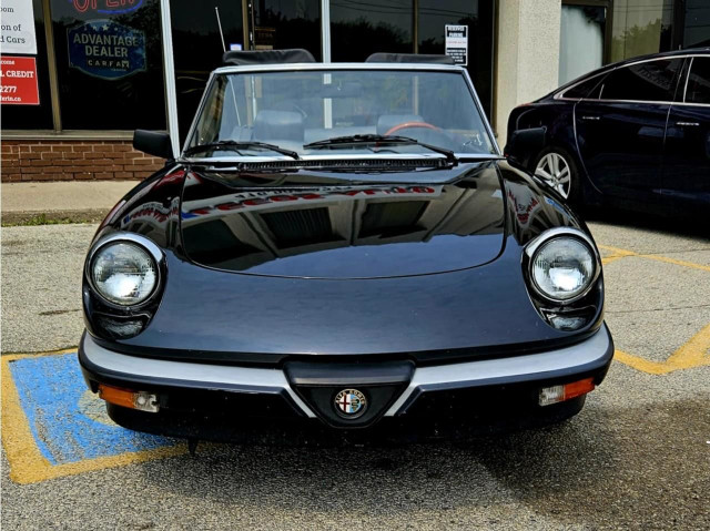 1989 Alfa Romeo Spider Convertible/Rare Graduate Edition/No A... in Cars & Trucks in City of Toronto - Image 3