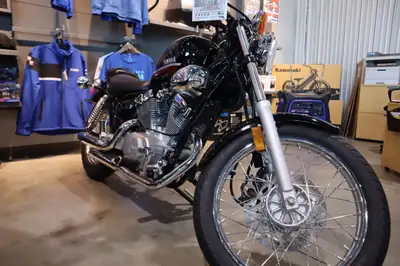 2024 Yamaha V-Star 250 There are a whole bunch of reasons to check out the V-Star 250, but the most...