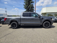 This brand new CARBONIZED GREY METALLIC 2025 FORD F-150 XLT is powered by a 3.5L V6 ECOBOOST ENGINE... (image 6)