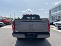 XLT Sport Appearance Package! On sale now! This vehicle was originally listed at $48998. We've marke... (image 6)
