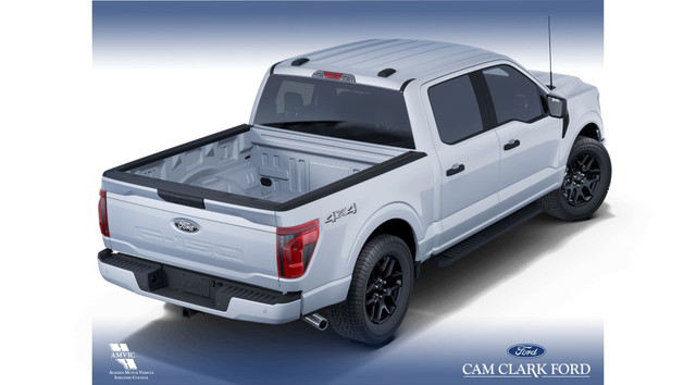 2025 Ford F-150 STX in Cars & Trucks in Red Deer - Image 4