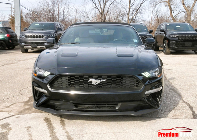2020 Ford Mustang CONVERTIBLE|ECOBOOST|HEATED BUCKET SEATS|APPLE in Cars & Trucks in Oakville / Halton Region - Image 2