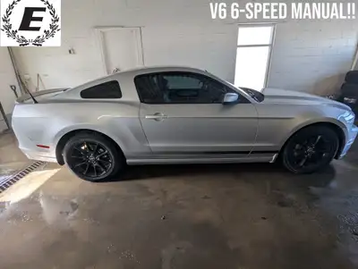 Calling all gearheads! Eckert Auto Sales is thrilled to present a classic beauty: a 2014 Ford Mustan...