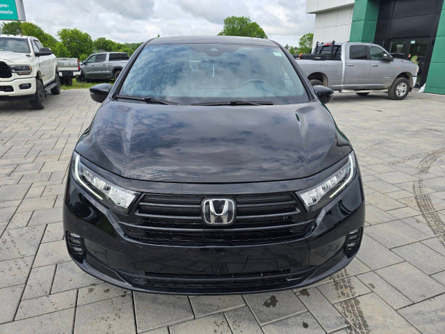 2023 Honda Odyssey in Cars & Trucks in Ottawa - Image 2