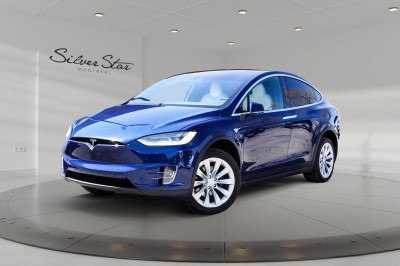 2020 Tesla Model X Long Range