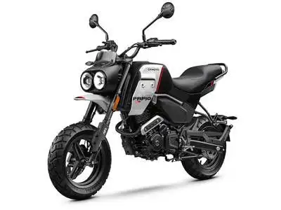 2025 CFMOTO Papio CL New retro-scrambler motorcycle design that pays tribute to the 50s classic. Its...