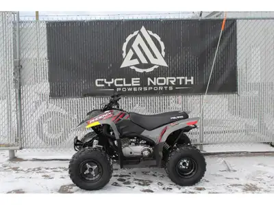 2024 Polaris Phoenix 200 2024 Polaris Phoenix 200 Youth ATV. Financing available, OAC. Destination a...
