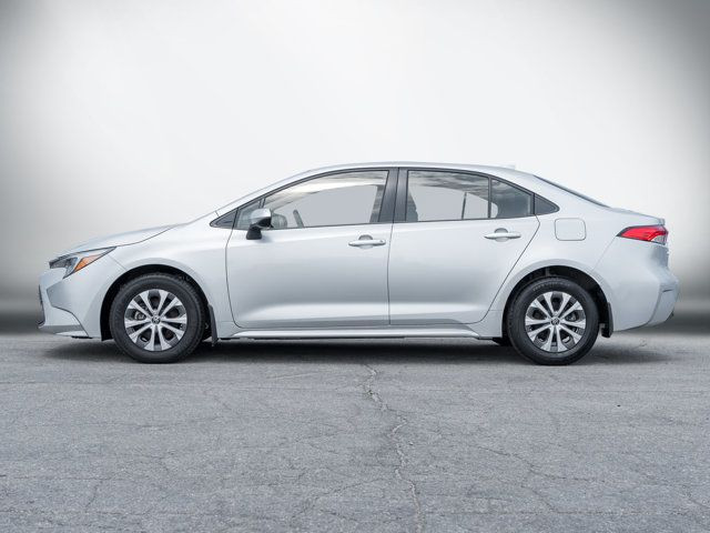2023 Toyota Corolla Hybrid LE | Low Mileage |No Accidents in Cars & Trucks in Hamilton - Image 3