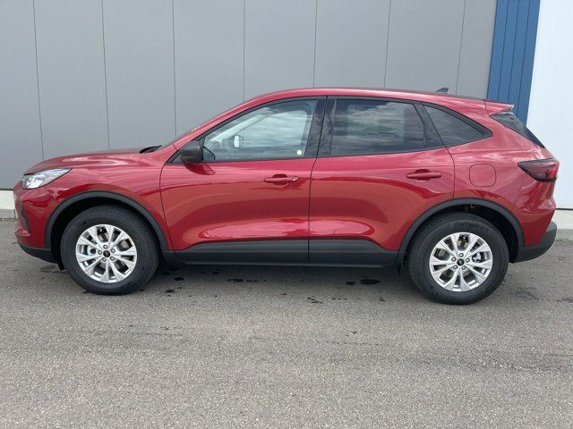 2025 Ford Escape Active - 200A in Cars & Trucks in Strathcona County - Image 2