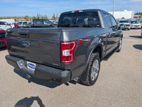 Apple CarPlay, Android Auto, Aluminum Wheels, Ford Co-Pilot360, Dynamic Hitch Assist! This 2019 Ford... (image 5)
