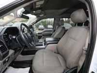 This Ford F-150 XLT boasts a Regular Unleaded V8 5.0 L engine powering this Unknown/ Other transmiss... (image 8)