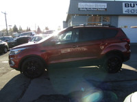 Thanks for viewing our South View Motors Inventory! 2019 FORD ESCAPE 4WD SPORT APPEARANCE PKG + APPL... (image 7)