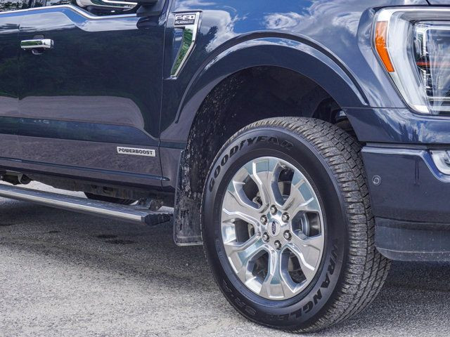 2022 Ford F-150 Platinum- Pano Roof - Heated / Vented Seats in Cars & Trucks in Barrie - Image 4