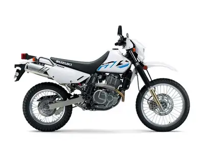 2025 Suzuki DR650SEWHEREVER YOUR ROAD LEADS Imagine having a blast down your favourite back road in...