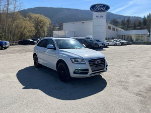 2017 Audi SQ5 3.0T Technik