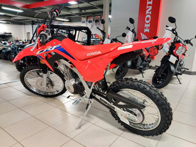 2024 Honda CRF125FB TRAIL in Dirt Bikes & Motocross in Grande Prairie - Image 2