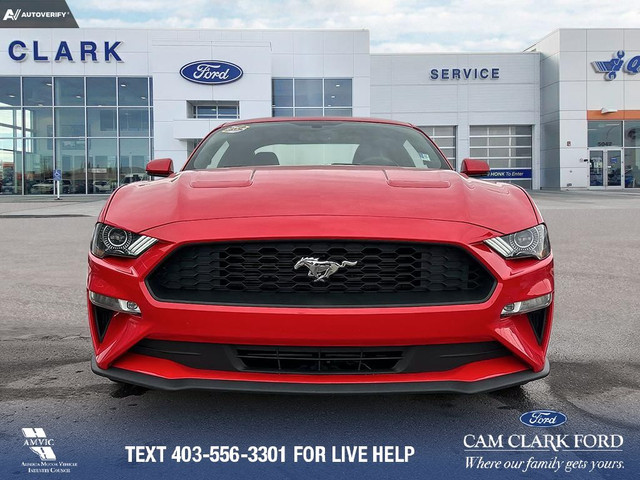 2019 Ford Mustang EcoBoost Premium RACE RED * AUTOMATIC * LEA... in Cars & Trucks in Red Deer - Image 2