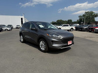 Come see this 2022 Ford Escape SE while we still have it in stock! *This Ford Escape Is Competitivel... (image 7)