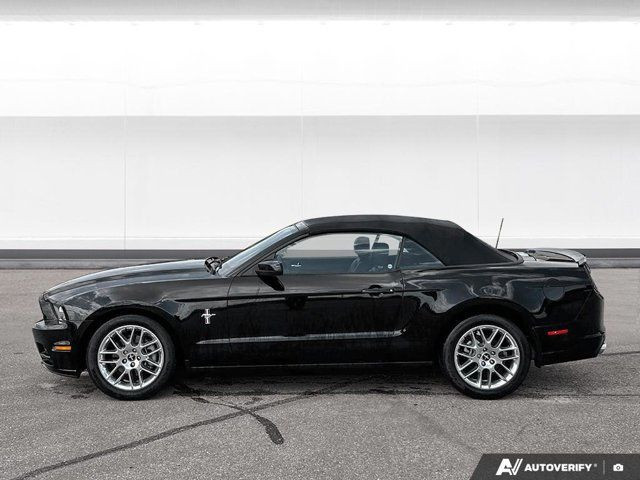 2013 Ford Mustang V6 Premium in Cars & Trucks in Winnipeg - Image 2