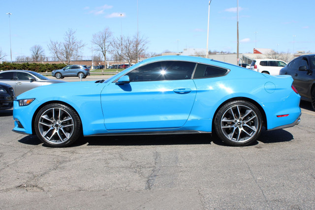 2017 Ford Mustang in Cars & Trucks in Oakville / Halton Region - Image 4