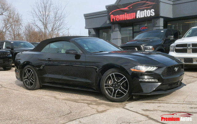 2020 Ford Mustang CONVERTIBLE|ECOBOOST|HEATED BUCKET SEATS|APPLE in Cars & Trucks in Oakville / Halton Region - Image 3