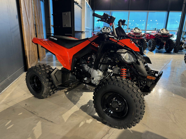 2024 Can-Am DS 250 in ATVs in Sault Ste. Marie