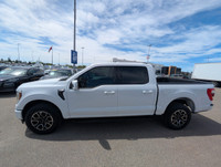 WAS: $55990 NOW: $53990 plus taxes and licensing feesLeather Seats, Connected Navigation, Ford Co-Pi... (image 1)