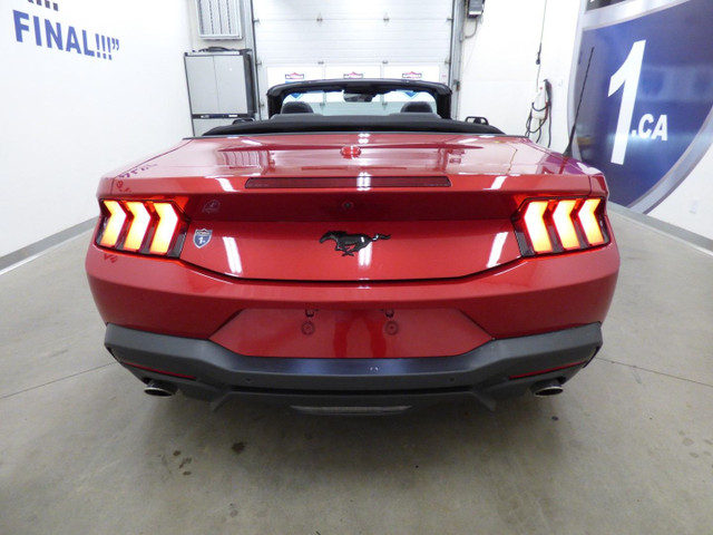 2024 FORD MUSTANG ECOBOOST CONVERTIBLE, AUTO, CARPLAY, FULL!!! in Cars & Trucks in City of Montréal - Image 4
