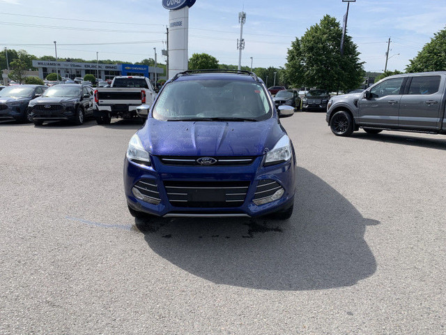 2016 Ford Escape SE - 2 Litre Fury/Heated Seats/Nav/Chrome Pack! in Cars & Trucks in Kawartha Lakes - Image 2