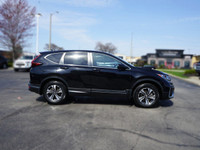 Come visit our Sterling Honda team, you can find us at 1495 Upper James Street, Hamilton, ON L9B 1K2... (image 3)