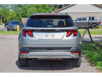 Previous Rental. Pre-Owned. Visit us today at Hyundai Pembroke and check out this 2025 Hyundai Tucso... (image 6)