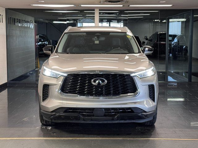 2025 INFINITI QX60 LUXE in Cars & Trucks in Calgary - Image 2