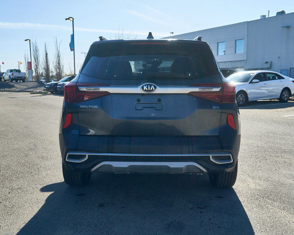 2021 Kia Seltos EX | Panoramic Sunroof | Leather Interior in Cars & Trucks in Edmonton - Image 4