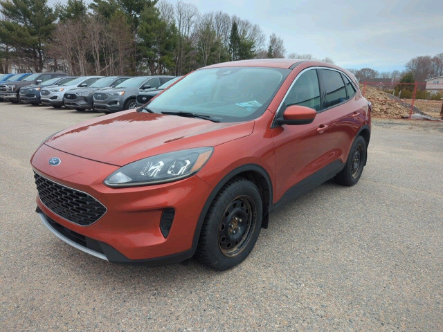 2020 Ford Escape SE in Cars & Trucks in Miramichi