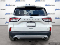 WAS: $29879 NOW: $24898 plus taxes and licensing feesDiscover the 2020 Ford Escape SEL: A Stylish an... (image 4)