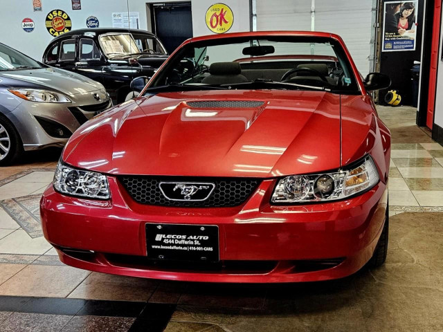2000 Ford Mustang Very Low KMs/Manual/Convertible in Cars & Trucks in City of Toronto - Image 2
