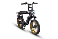 2021 PublikCycle Electric Bicycle Cruisers