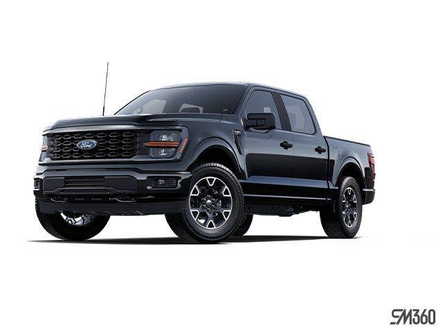2025 Ford F-150 STX in Cars & Trucks in Windsor Region - Image 3