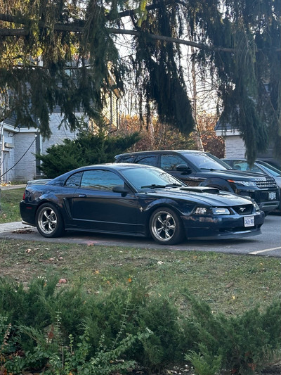 2002 Ford Mustang Basic