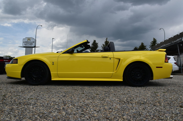 2001 Ford Mustang ***RAG TOP, MANUAL, EXHAUST*** in Cars & Trucks in Calgary - Image 2