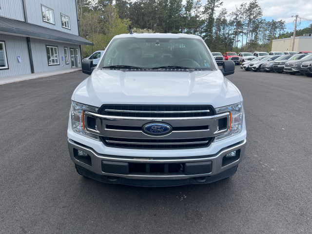 2020 Ford F-150 XLT - AS TRADED WITH NEW MVI - CARFAX CLEAN - in Cars & Trucks in Annapolis Valley - Image 3