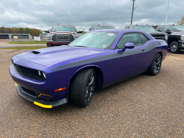 RARE PLUM CRAZY 2023 DODGE CHALLENGER R/T 6 SPEED MANUAL  in Cars & Trucks in Red Deer