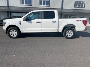 2023 Ford F 150 XLT