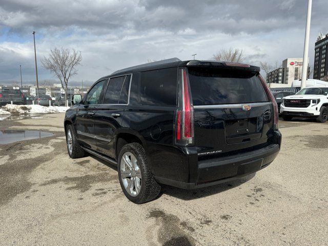  2019 Cadillac Escalade PLAT in Cars & Trucks in Calgary - Image 4