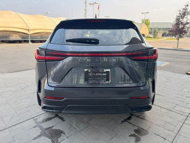 2022 Lexus NX in Cars & Trucks in Calgary - Image 3